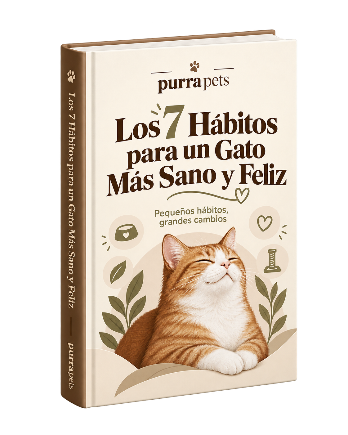 Los 7 Hábitos para un Gato Más Sano y Feliz