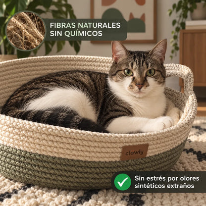 Nido Clawly™ El territorio natural que el instinto de tu gato reconoce