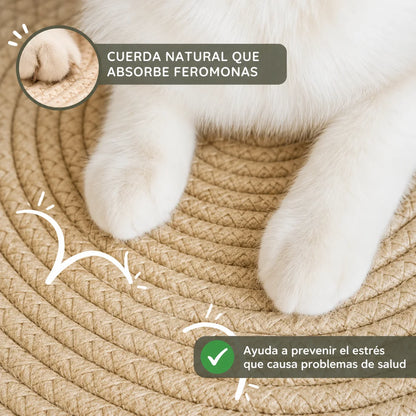 Nido Clawly™ El territorio natural que el instinto de tu gato reconoce