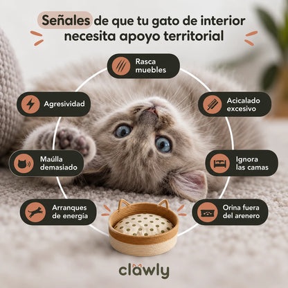 Nido Clawly™ El territorio natural que el instinto de tu gato reconoce